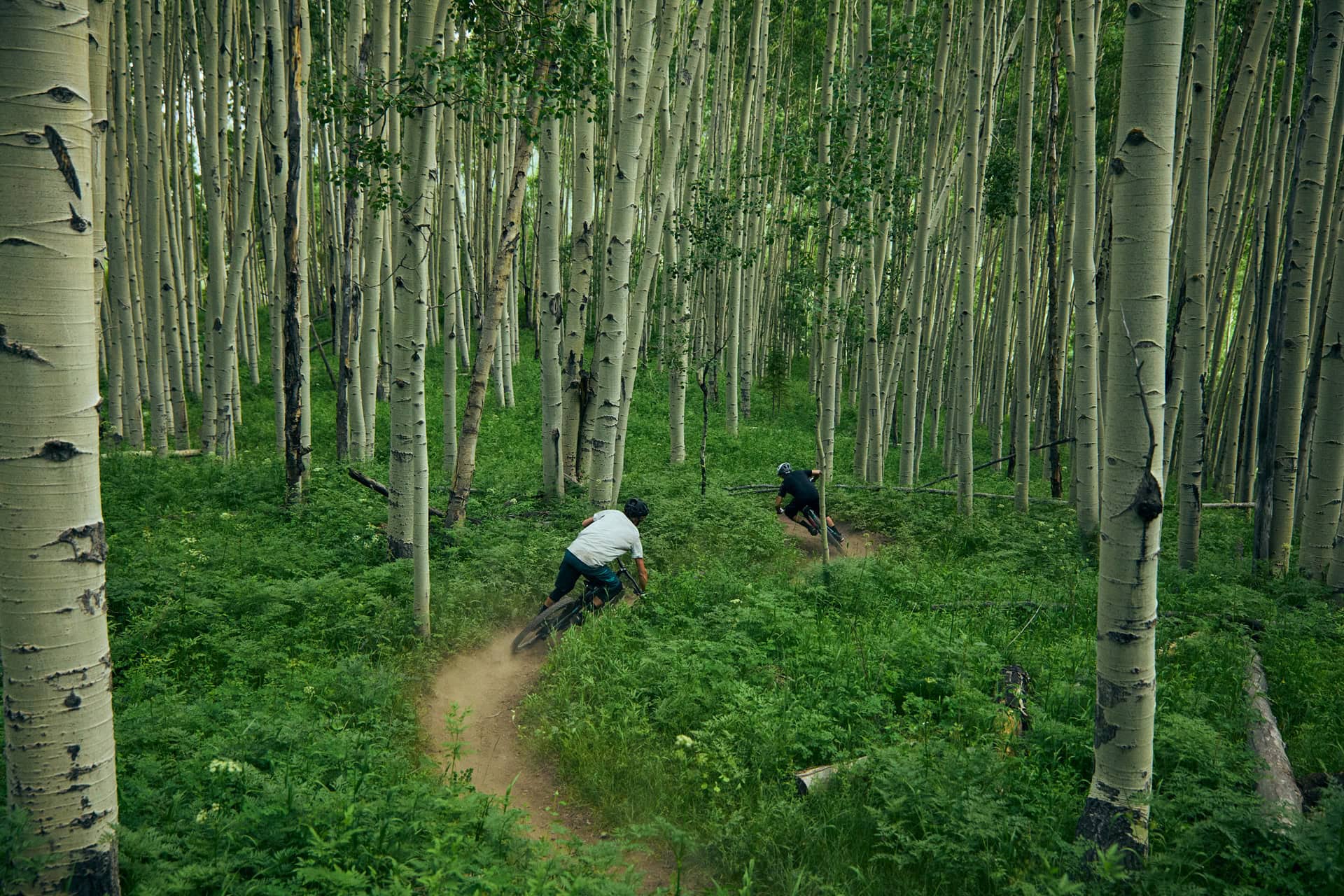 Yeti Cycles – ColoRADo – Nate Hills – 2018