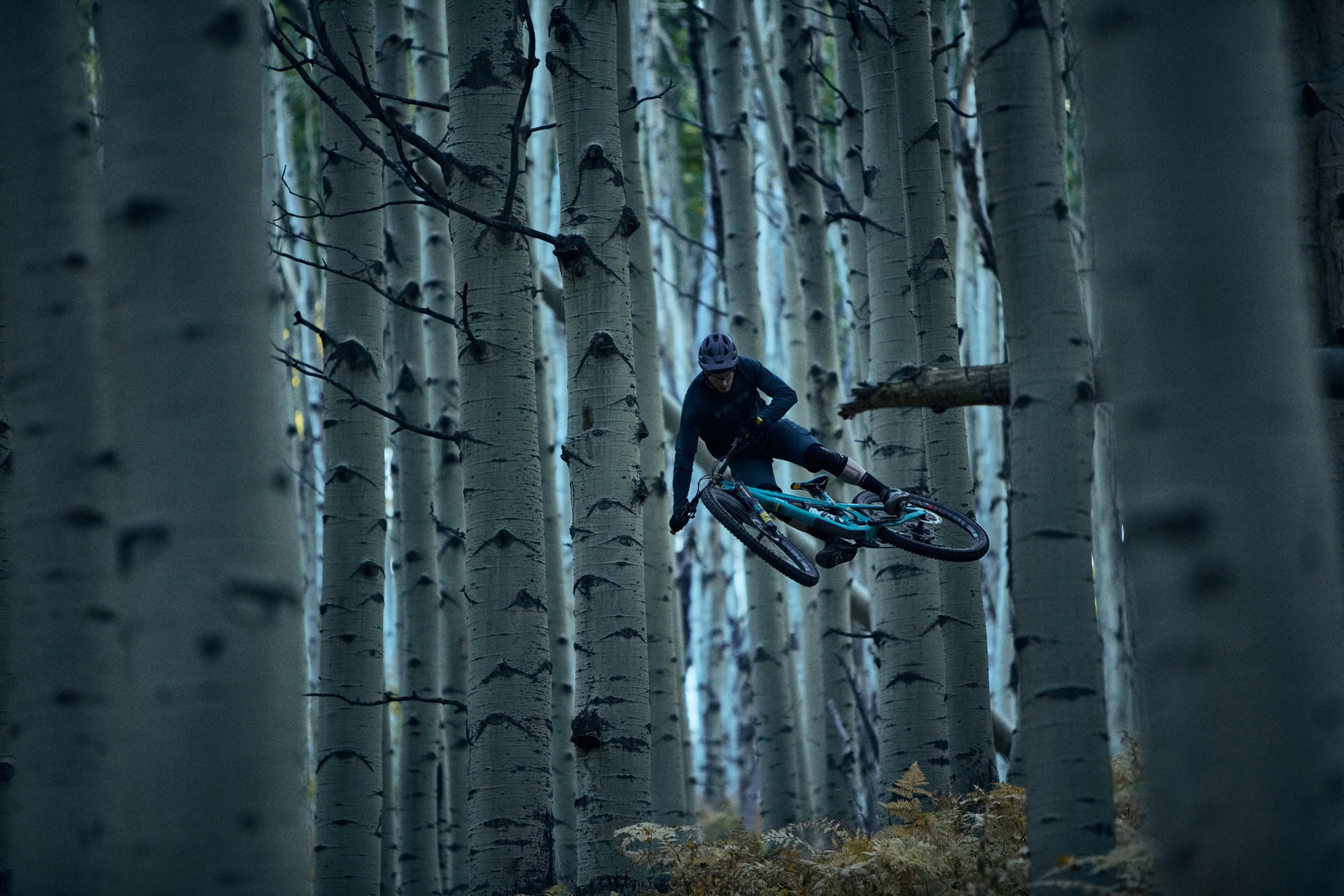 Yeti Cycles – ColoRADo – Jubal Davis – 2018