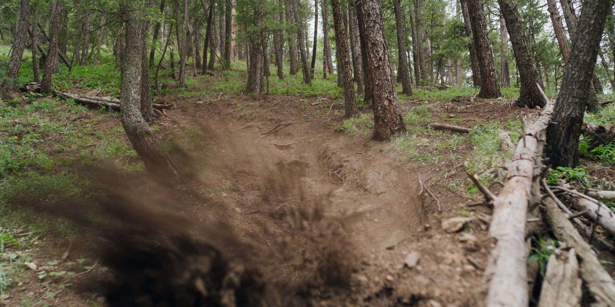 Zirkel_Optics_Sawtooth_MTB_Frame_07